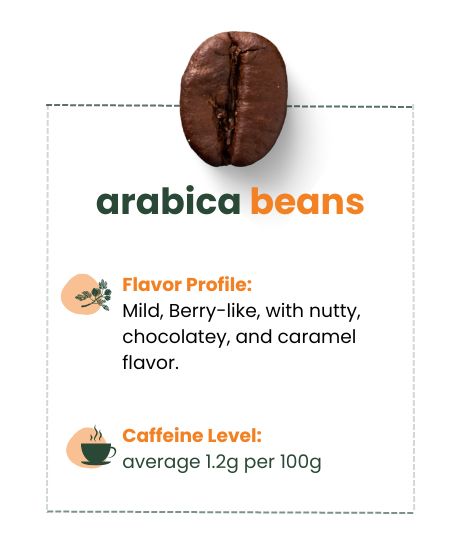 An infographic image of Arabica Bean's flavor profile and caffeine level