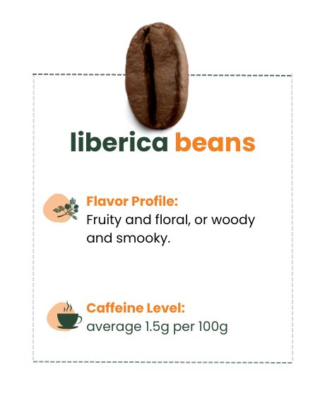 Image of liberica beans describing flavor profile and caffeine level