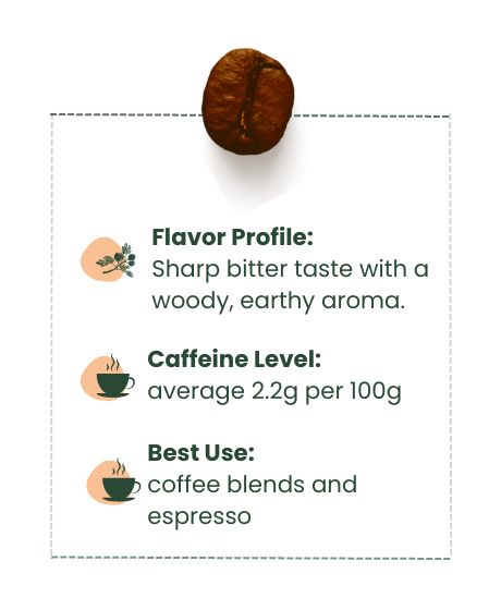 robusta Coffee Bean's flavor profile, caffeine level and best usage