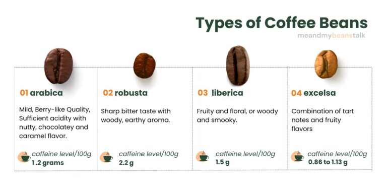 Types of Coffee Beans - Me and My Beans Talk