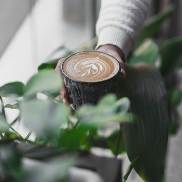 Featuring a cup of coffee surrounded by vibrant indoor   leaves, highlighting a harmonious blend of nature and indulgence.