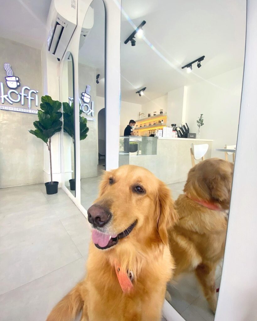 an image of a dog inside the koffi cafe store