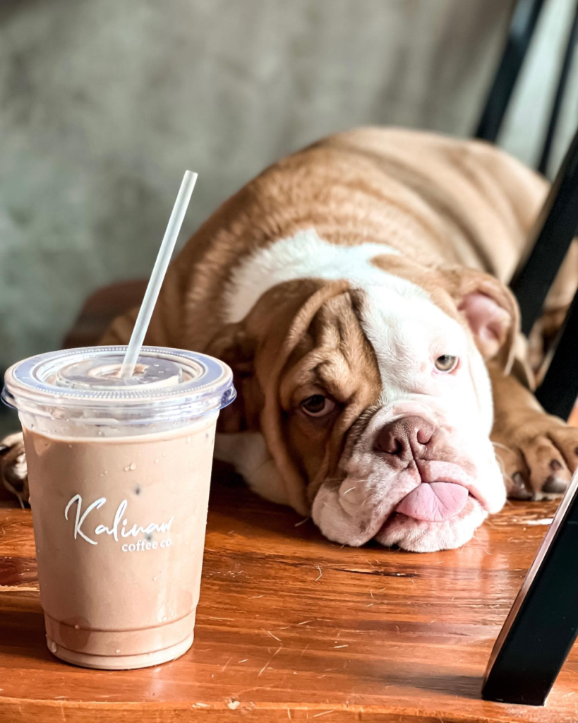 Kalinaw Coffee Co is a pet-friendly Cafe